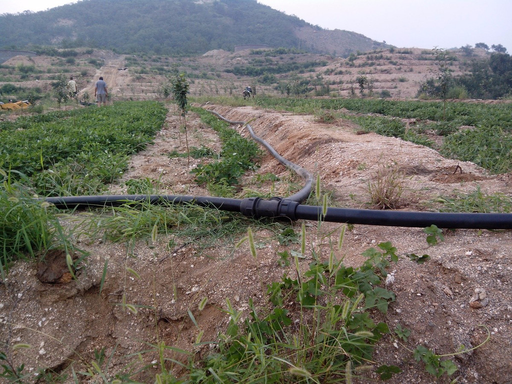 無土栽培，無土栽培技術(shù)，無土栽培設(shè)備